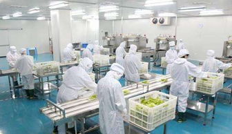 通过餐饮连锁中央厨房管理,看中国生产制造业困局
